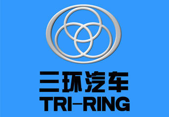 湖北三環(huan)車橋案例