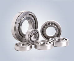 圓柱滾(gun)子軸承-鷹牌(pai)軸承