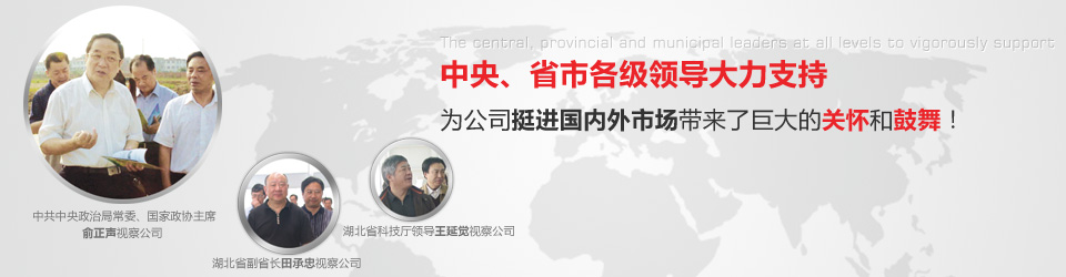 轎車輪毂(gu)單元