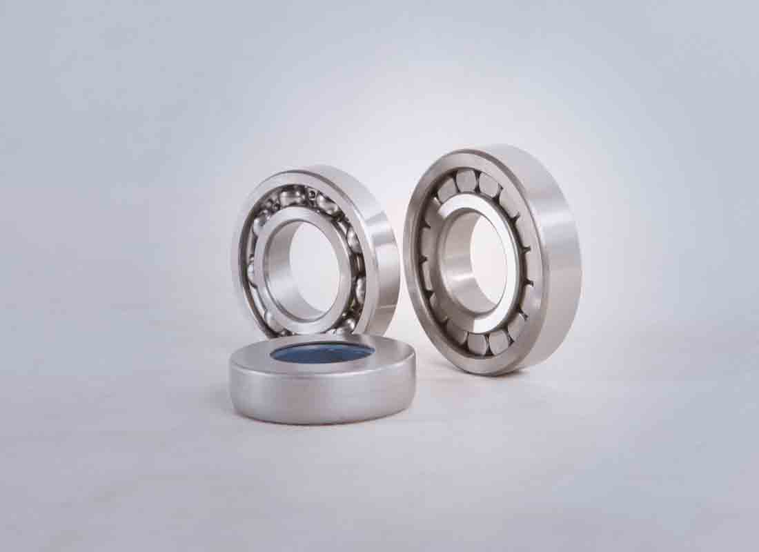 0類深溝(gou)球軸承-6018N（50118）-鷹牌軸承(cheng)